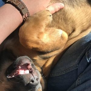 Meet your Posher, Evan